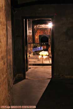 IMG_ (11834)